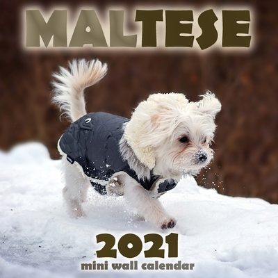 Maltese 2021 Mini Wall Calendar - Over the Wall Dogs