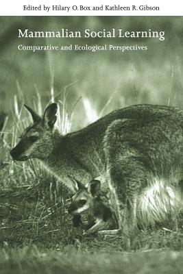 Mammalian Social Learning: Comparative and Ecological Perspectives - Box, Hilary O. (Editor), and Gibson, Kathleen R. (Editor)