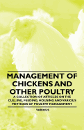 Management of Chickens and Other Poultry - A Collection of Articles on the Culling, Feeding, Housing and Various Methods of Poultry Management