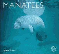Manatees: Natural History & Conservation