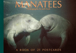 Manatees Postcard Book - Browntrout Publishers (Manufactured by)