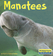 Manatees