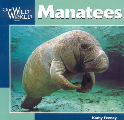 Manatees - Feeney, Kathy