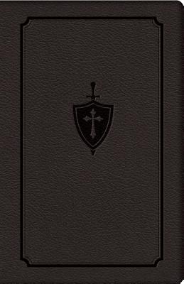 Manual for Conquering Deadly Sin - Kolinski S J C, Dennis, Fr.