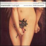 Marenzio: Madrigali - Andrea Damiani (tiorba); Concerto Italiano; Mara Galassi (harp); Rinaldo Alessandrini (harpsichord);...