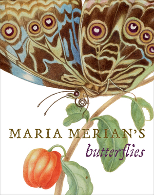 Maria Merian's Butterflies - Heard, Kate