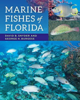 Marine Fishes of Florida - Snyder, David B., and Burgess, George H.