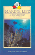 Marine Life of the Caribbean