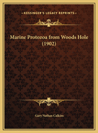 Marine Protozoa from Woods Hole (1902)