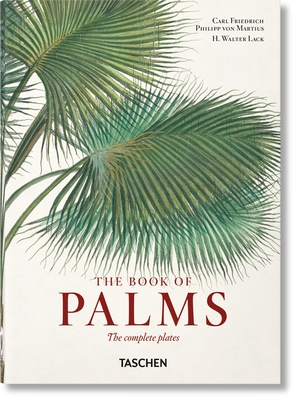 Martius. the Book of Palms. 40th Ed. - Lack, H Walter
