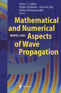 Mathematical and Numerical Aspects of Wave Propagation Waves 2003: Proceedings of the Sixth International Conference on Mathematical and Numerical Aspects of Wave Propagation Held at Jyvskyl, Finland, 30 June - 4 July 2003