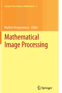 Mathematical Image Processing: University of Orlans, France, March 29th - April 1st, 2010