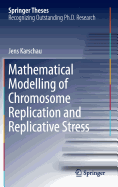 Mathematical Modelling of Chromosome Replication and Replicative Stress