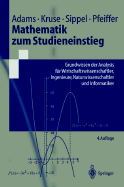 Mathematik Zum Studieneinstieg: Grundwissen Der Analysis Fa1/4r Wirtschaftswissenschaftler, Ingenieure, Naturwissenschaftler Und Informatiker