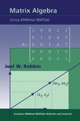 Matrix Algebra Using MINimal MATlab - Robbin, Joel W.