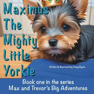 Maximus The Mighty Little Yorkie