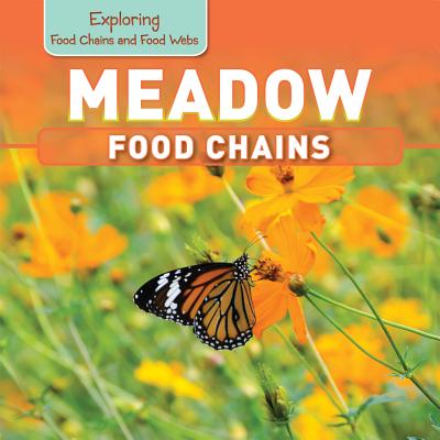 Meadow Food Chains - Kawa, Katie