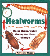 Mealworms: Raise Them, Watch Them, See Them Change