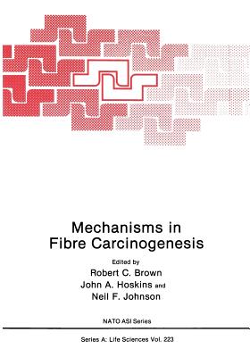 Mechanisms in Fibre Carcinogenesis - Brown, Robert C (Editor), and Hoskins, John A (Editor), and Johnson, Neil F (Editor)