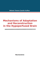 Mechanisms of Adaptation and Reconstruction in the Hypoperfused Brain