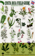 Medicinal Plants - Maffioli, A, and Sanchez, J.C.