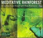 Meditative Rainforest