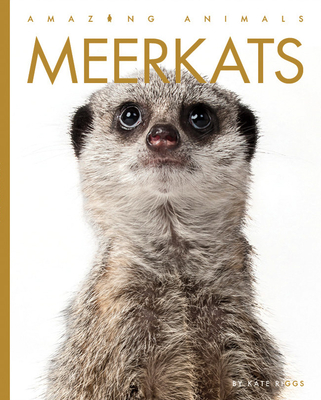 Meerkats - Riggs, Kate