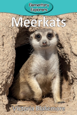 Meerkats - Blakemore, Victoria