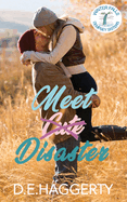 Meet Disaster: a fake relationship small town romantic comedy