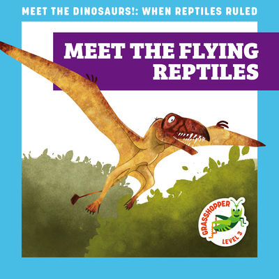 Meet the Flying Reptiles - Donnelly, Rebecca