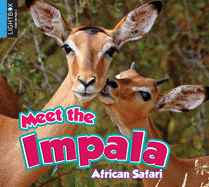 Meet the Impala