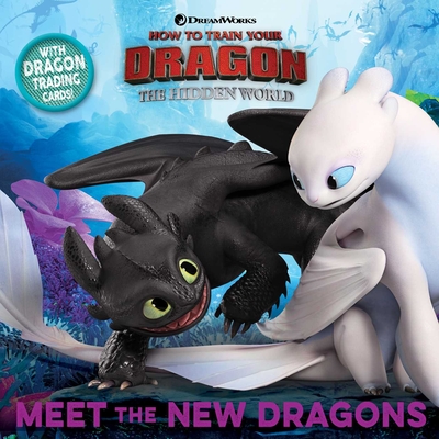 Meet the New Dragons - Testa, Maggie (Adapted by)