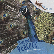 Meet the Peacock