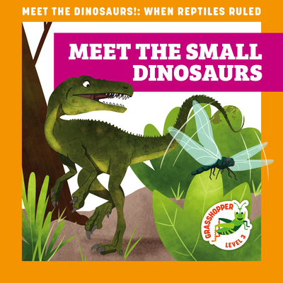 Meet the Small Dinosaurs - Donnelly, Rebecca