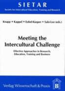 Meeting the Intercultural Challenge: Effective Approaches in Research, Education, Training and Business