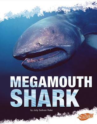 Megamouth Shark - Nuzzolo, Deborah, and Rake, Jody (Consultant editor)