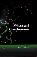 Meiosis and Gametogenesis
