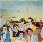 Mental Notes - Split Enz