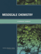 Mesoscale Chemistry: A Workshop Summary