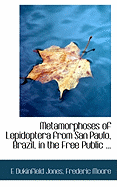 Metamorphoses of Lepidoptera from San Paulo, Brazil, in the Free Public