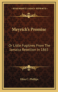 Meyrick's Promise: Or Little Fugitives from the Jamaica Rebellion in 1865