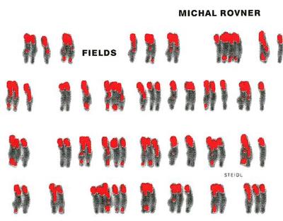 Michal Rovner: Fields - Rovner, Michal, and Durand, Rgis (Text by), and Lotringer, Sylvre (Text by)