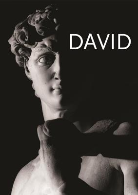 Michelangelo's David - Amendola, Aurelio, and Paolucci, Antonio