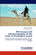 Microscopy and Ultrasonography of the Testis of Dromedary Camel