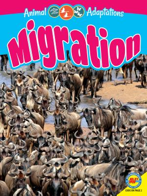 Migration - Kopp, Megan