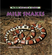 Milk Snakes