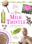 Milk Thistle: Silybum Marianum