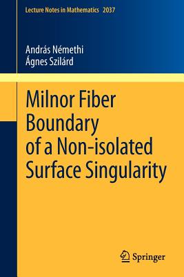 Milnor Fiber Boundary of a Non-Isolated Surface Singularity - Nmethi, Andrs, and Szilrd, gnes