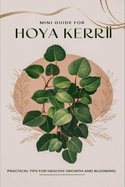 Mini Guide to Caring for Hoya Kerrii