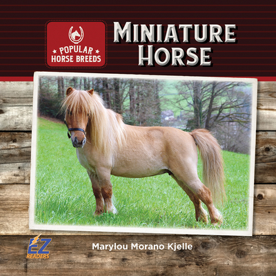 Miniature Horse - Kjelle, Marylou Morano